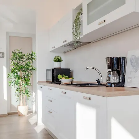 Amazing In With House Sea View *
